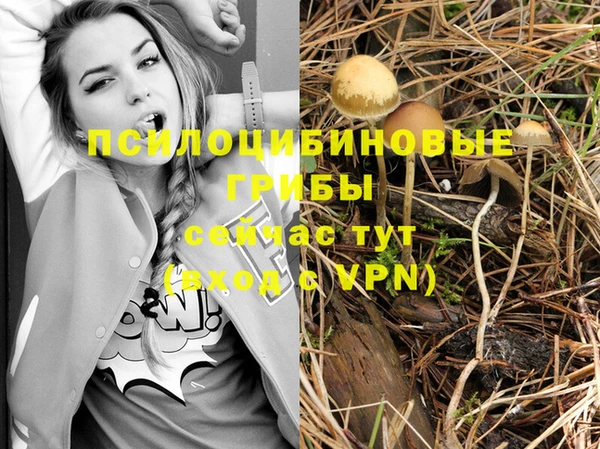 не бодяженный Беломорск