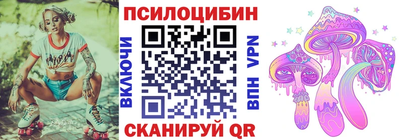 гидра ССЫЛКА  Ясный  Галлюциногенные грибы ЛСД  купить закладку 
